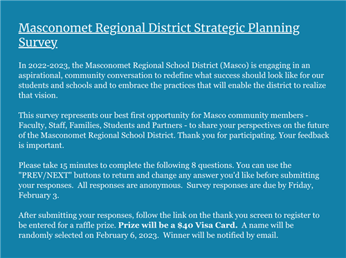 strategic plan survey